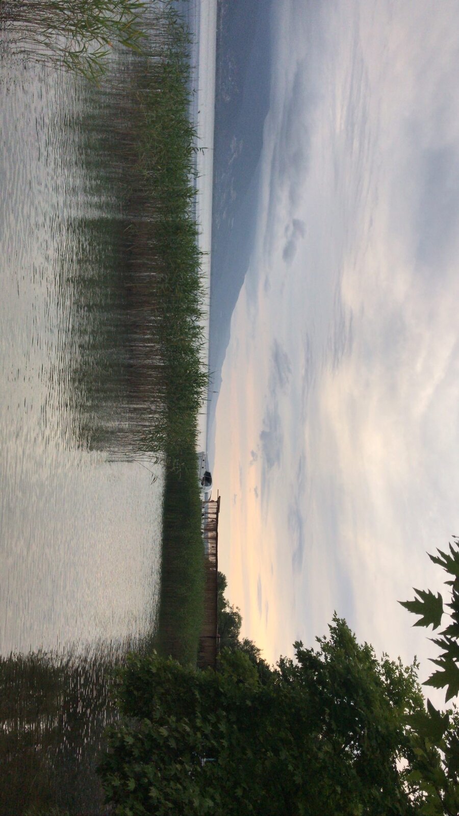 20DC3839-8534-4C78-9FDE-EAAB04554C5A.jpeg