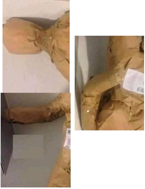 aydınmanken2.jpg