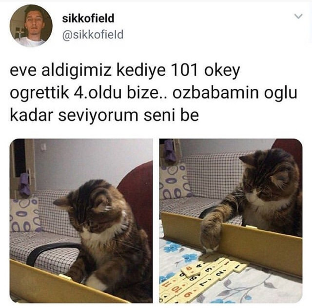 dbb38ab7-61d6-4fc4-9e98-43e94d97d2fd.jpg