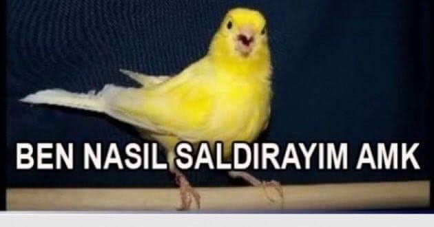 EReLVITW4AIHLHR.jpg