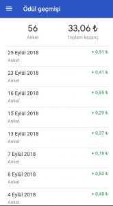 google-odullu-anketler-kazanc-165x300.jpg
