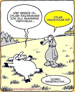 inandurıcıyım.jpg