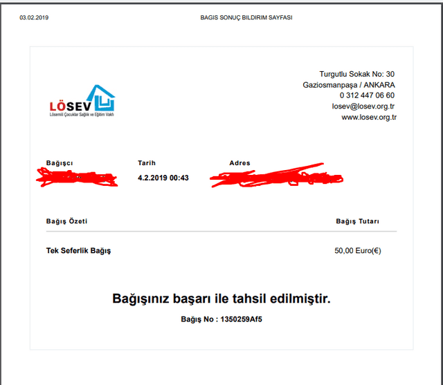 losev.png