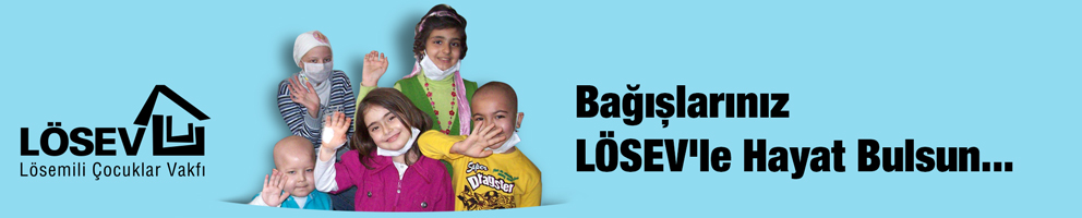 online_bagis-2015 (1).jpg