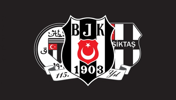 115b_30.jpg